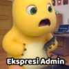 Ekspresi Admin