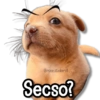 @rose.stickers1 Secso?
