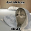 don't talk to me I'm Sed