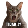 TIDAK.!?