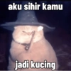 Kucing penyihir 5