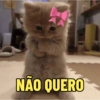 NÃO QUERO