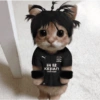 Gatas fofinha de perucas  23