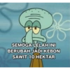 MEME INDO LAWAK🤙 5