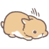 Kelinci lucu 🐰 10
