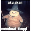 Kucing penyihir 8