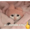 ya t aburristes d mi¿?