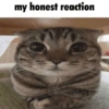 My honest reaction:  2