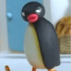 Pingu 18