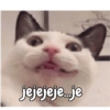 Gatos 18