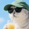 🧿Gatitos Gatos Miau🐱🐈 19