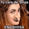 Tu cara de bruja ENVIDIOSA