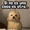 Si no es una cosa es otra...