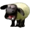 Memes 31 18
