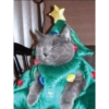 Navidad 🎄♥️ 9