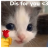 Dis for you <3