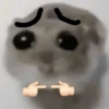 🐀 Sad Rat 🐀🐀 Meme 🐀 8