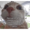 Kucing imut 25