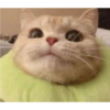 Tierno bebé 6
