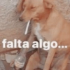 Aleatório: PT2 7