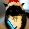 Gatos & Outros Animais 7