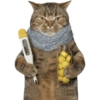 GATINHOS GRIPADOS 11