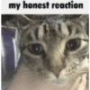 My honest reaction:  22