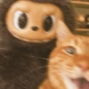 🧿Gatitos Gatos Miau🐱🐈 22