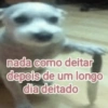 Memes estranhos 😶‍🌫️ 14