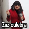 營 Zaz culebra