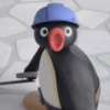 Pingu 14