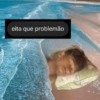 Top shitpost 11