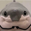 Reações de animais 7