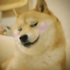 😝😂 Memes Random 34🤠 14