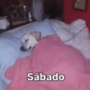 Rreacciones para SÁBADO 6 13