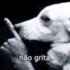 SHITPOST BOM DEMAIS 14