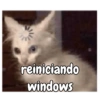 Gatos 22