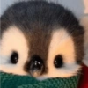 Pinguim 6