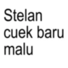 Stelan cuek baru malu