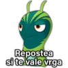 🐛🪴 BAJOTERRA 🪴🐛 10