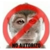 Macaco 🐵 23