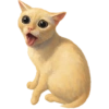 ✨️ Modo Gato 🐈🐱🐈‍⬛ 8