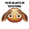 PQ ME DEJASTE EN VISTO PERRA