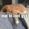 @billa.here mai to toot gya