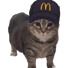 Akmal Cat oiia 11