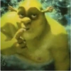Shrek Underwater