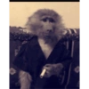 Monkeyyyy 5