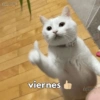 Viernes de Encierro 🥺 14