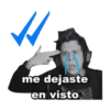 me dejaste en visto