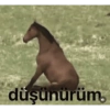 Turkishi karma 8